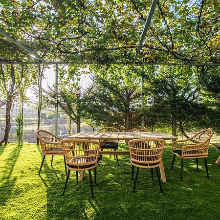 Masticha Apartment Oinofyta ภายนอก รูปภาพ